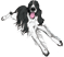 Jefferson (2007-2011)